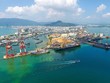 “Phép màu” ở Bình Định