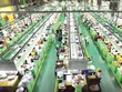 Xuất hiện hạn chế, thách thức mới về dân số, lao động