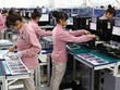 Việt Nam xuất khẩu gần 166 tỷ USD hàng hóa sang thị trường châu Á - châu Phi