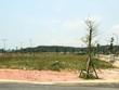 Cổ phiếu bất động sản nỗ lực tìm lại mình