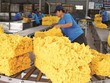 Cao su Phước Hòa (PHR) dự báo lợi nhuận tăng mạnh trong năm 2022