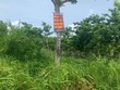 Hà Nội lập đoàn kiểm tra các dự án treo, chậm triển khai