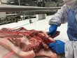 Nhu cầu tiêu dùng thịt lợn giảm mạnh sau Tết
