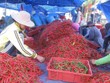 Xuất khẩu sang Trung Quốc phục hồi, doanh nghiệp phấn khởi
