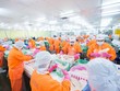 Cá tra Nam Việt (ANV) góp vốn vào công ty bất động sản, bổ nhiệm thêm lãnh đạo