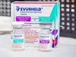 Ai được chỉ định sử dụng thuốc kháng thể đơn dòng Evusheld?