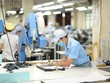 Xuất khẩu sang Canada tăng mạnh từ đầu năm 2022