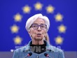 Chủ tịch ECB: Không có dấu hiệu cho thấy kinh tế Eurozone bị chững lại