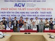 Bắt đầu thi công phần cọc công trình Nhà ga hành khách sân bay Long Thành