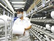 Doanh nghiệp kiến nghị thống nhất về thuế suất VAT