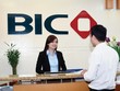 Bảo hiểm hải ngoại cho trái ngọt