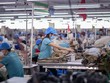 Doanh nghiệp gặp khó khăn trong vận chuyển hàng dệt may đi Nga