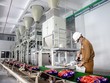 Lộ diện nhà đầu tư nước ngoài chi hàng ngàn tỷ đồng gom cổ phiếu Hóa chất Đức Giang (DGC)