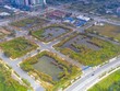 Thủ tướng chỉ đạo chấn chỉnh hoạt động thị trường trái phiếu doanh nghiệp và đấu giá quyền sử dụng đất
