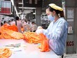 Dệt may Thành Công (TCM) kỳ vọng lãi tăng 77%, phát hành gần 11 triệu cổ phiếu thưởng