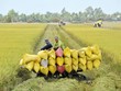 Hé mở lối đi mới cho tín dụng hợp tác xã
