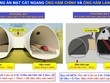 Thủ tướng đồng ý giao UBND tỉnh Lai Châu làm chủ dự án hầm đường bộ Hoàng Liên