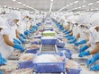 EU ban hành ngưỡng dư lượng thủy ngân mới trong thủy sản
