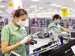 Việt Nam trên con đường trở thành trung tâm sản xuất toàn cầu mới
