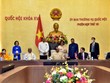 Thúc đẩy quan hệ kinh tế, thương mại - đầu tư Việt Nam - Ấn Độ