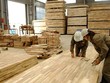 Mỹ gia hạn thời gian ban hành kết luận với gỗ dán cứng nhập từ Việt Nam