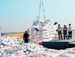 Hạ nhiệt giá phân bón trong nước bằng tăng thuế xuất khẩu