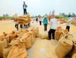 Đánh thức vùng đất “chín rồng” - Bài 1: Sống trên vựa lúa, nông dân vẫn nghèo