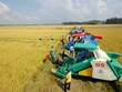 Đánh thức vùng đất “chín rồng” - Bài 3: Quyết đầu tư để thành nơi đáng sống