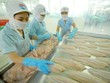 Canada là nước nhập khẩu cá tra lớn thứ 2 của Việt Nam trong khối CPTPP