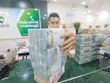 Chủ động ứng phó với biến động tỷ giá