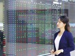 Cổ phiếu "vua" chờ dòng tiền lớn