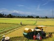 Thay đổi tư duy trong xây dựng Luật Hợp tác xã