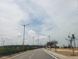 Bình Định đầu tư nhà máy chế biến gỗ hơn 46 tỷ đồng