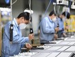 Nguyên, nhiên liệu đầu vào tăng giá, sản xuất kinh doanh thêm khó