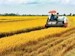 Thủ tướng chỉ thị thúc đẩy phát triển nông nghiệp và nông thôn bền vững vùng Đồng bằng sông Cửu Long