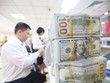 Tỷ giá: Áp lực vẫn chưa được hóa giải