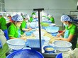 100 container hạt điều đã trở về sở hữu của các doanh nghiệp Việt