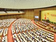 Vì những quyết sách đúng, Quốc hội luôn sáng đèn