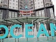 Nước đi “xoá cờ làm lại” của hai doanh nghiệp nhà Ocean