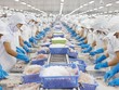 Xuất khẩu thủy sản: Sức mua giảm ở thị trường Mỹ, phải chờ đến Lễ Tạ ơn