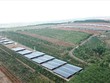 Gia Lai tiếp tục khắc phục tồn tại trong đầu tư điện mặt trời mái nhà