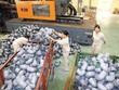 Doanh nghiệp thấp thỏm theo giá hàng hóa