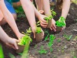 Cân đối các chỉ số kinh doanh và tác động bền vững