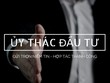 Phát lộ “Phái sinh hội 2” của ông Phan Hoàng Nam
