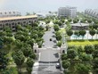 Kế hoạch kinh doanh đột biến, Bất động sản Trường Thành (TEG) phi mã 99% trong 2 tuần
