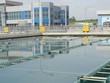 REE sẽ mua 1 triệu cổ phiếu quỹ tạo nguồn cổ phiếu thưởng