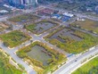 Đấu giá lại những lô đất bị bỏ cọc tại Thủ Thiêm, tín hiệu tích cực cho thị trường bất động sản