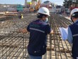 Tracodi (TCD) trở lại nhanh khi “bình thường mới”