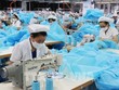 TNG, lợi nhuận tháng 1 tăng 72%