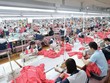 May Sông Hồng (MSH): Con gái Chủ tịch tiếp tục đăng ký mua thêm gần 620.000 cổ phiếu